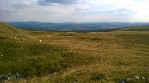 Moorland before the Carmarthenshire Fans