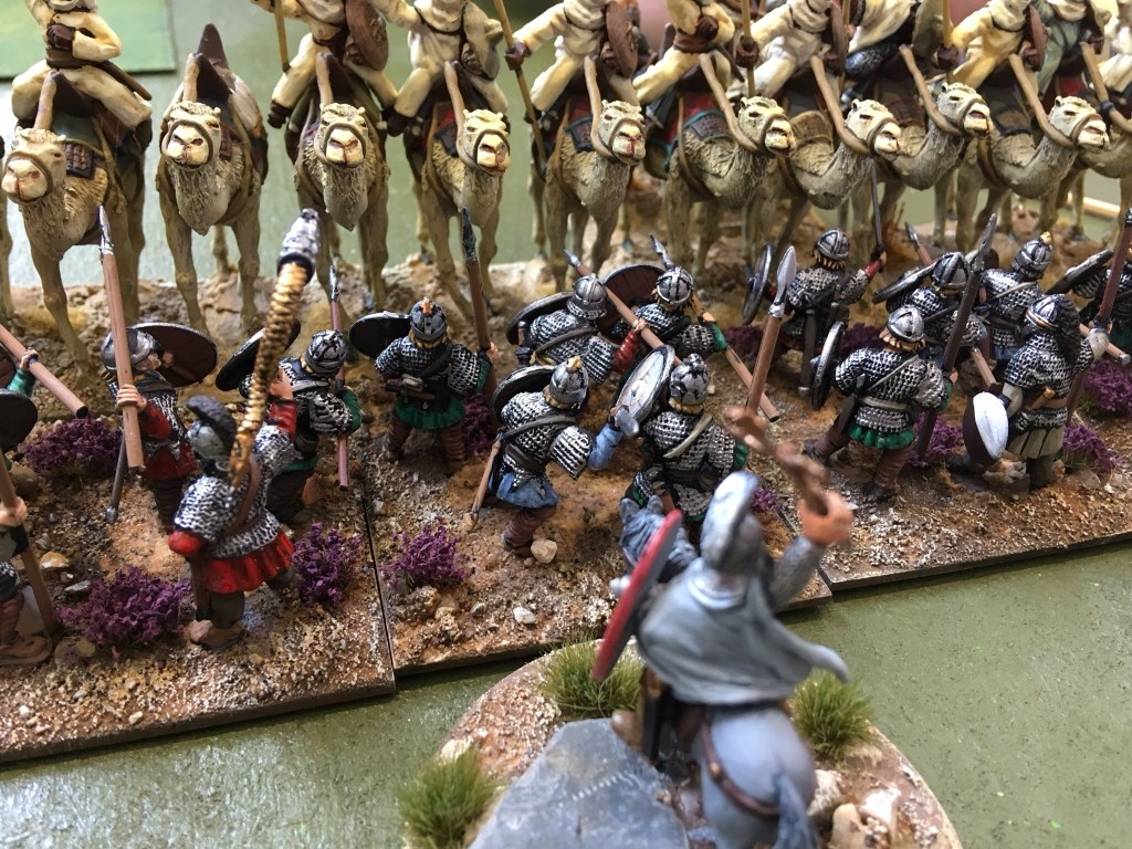 L’art de la Guerre- Canal Rat 2018, Slimbridge 