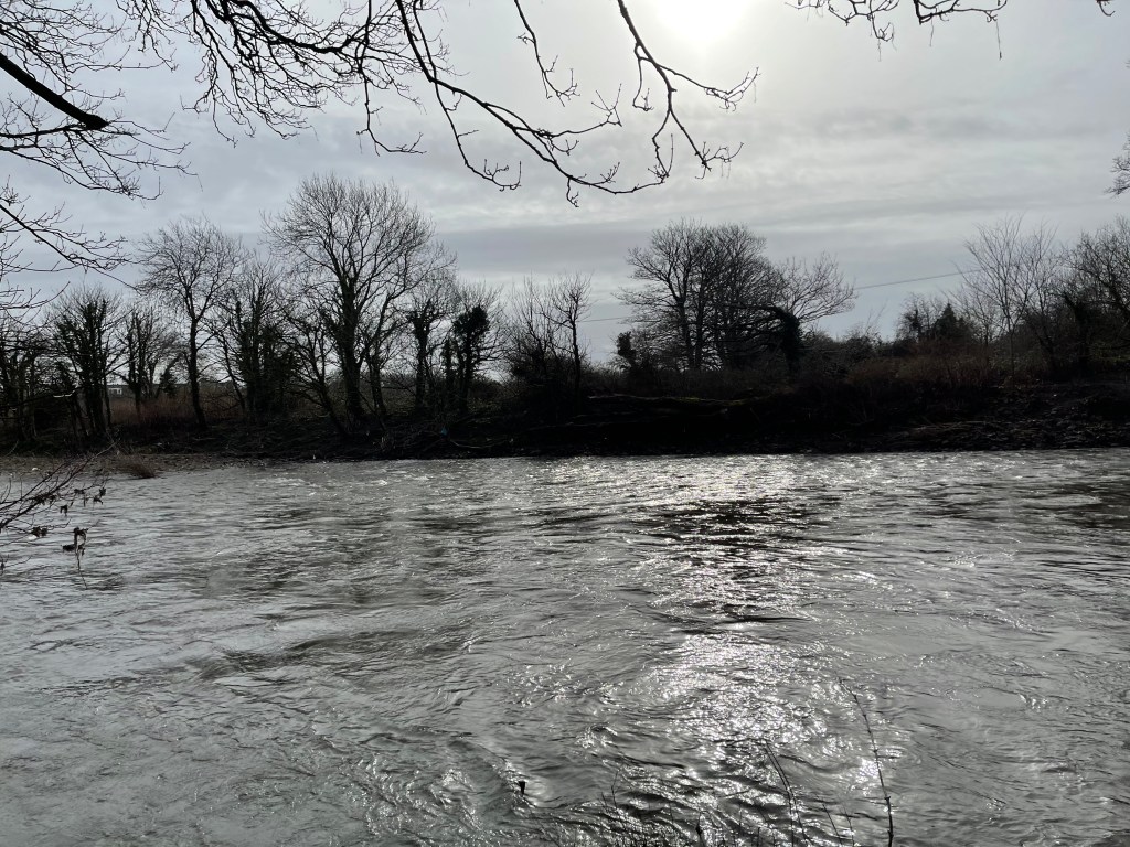 Miguel’s Little Homestead; stop outsourcing your&nbsp;life!